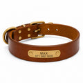 Leder Hundehalsband mit goldfarbener Marke, Gravur Name und Telefon