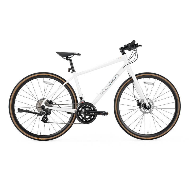RIDA-P2E 700C Rennrad
